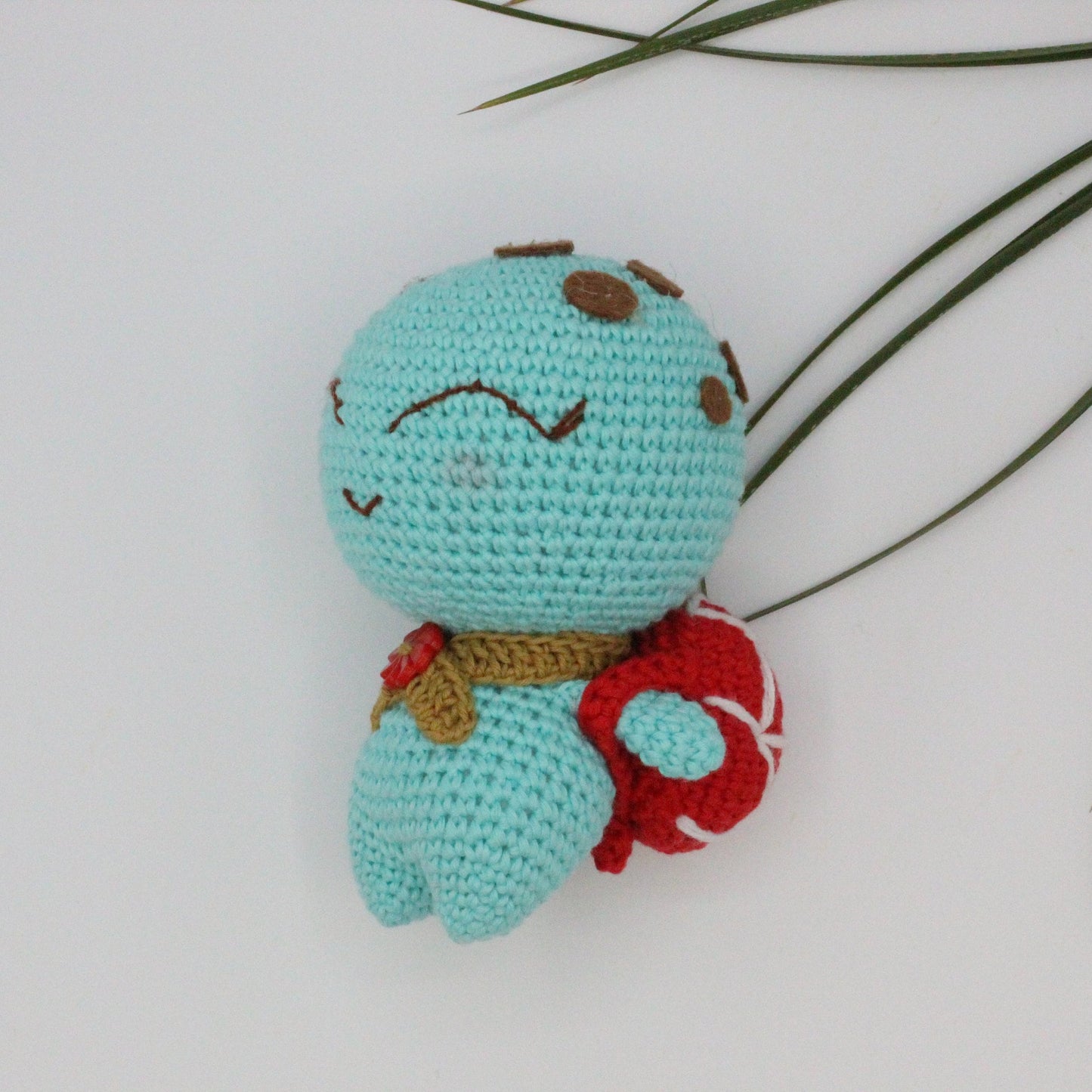 Turtle Crochet Amigurumi