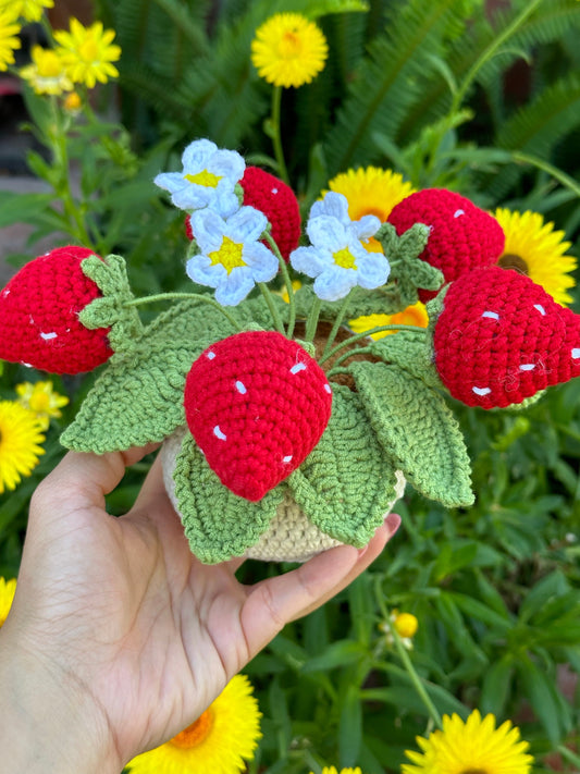 Crochet Strawberry Plant