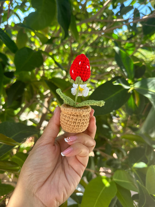 Mini Crochet Strawberry Plant